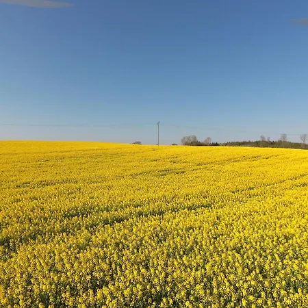 Schleiblick App 6 Daire Rabenkirchen-Faulück